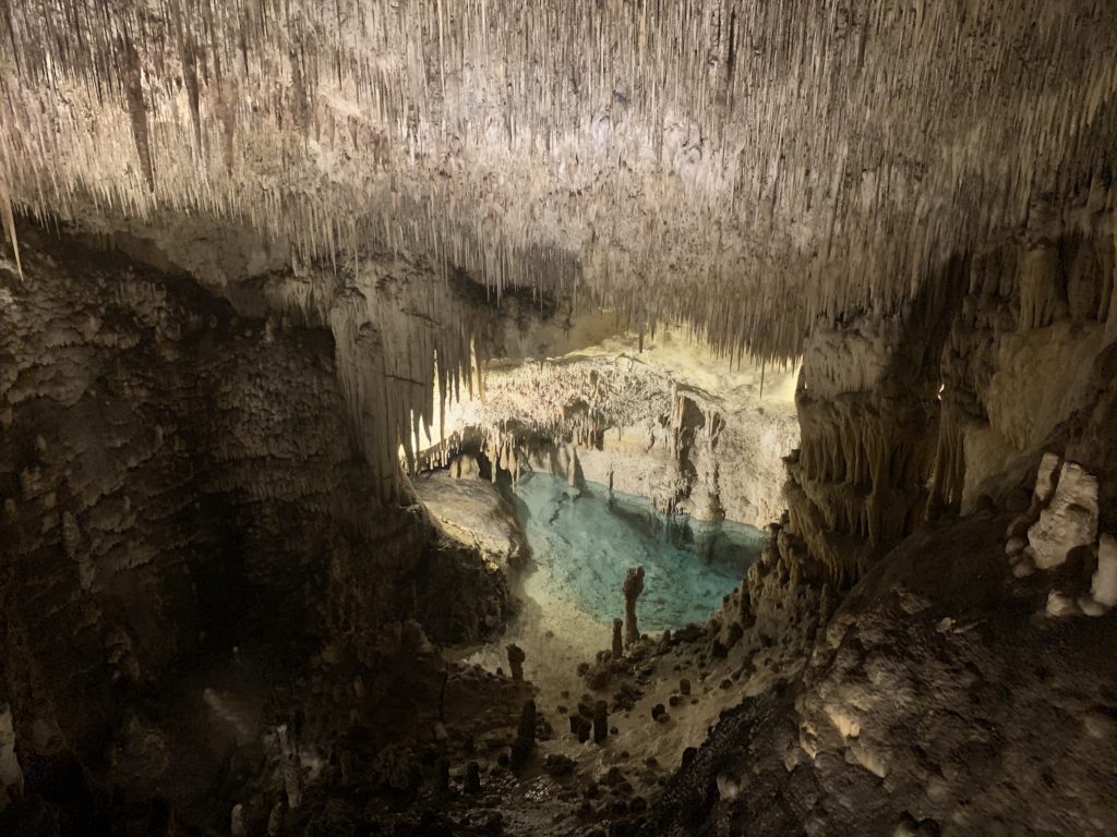 コンサート、ボート乗船付きの豪華鍾乳洞「ドラック洞窟」（Drach Cave）