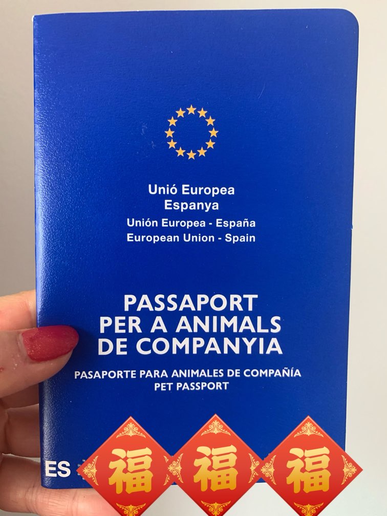 ヨーロッパでは定番？！ペットパスポートで犬と旅行