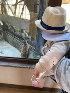 日台ハーフの息子と動物園へ（日本平動物園）