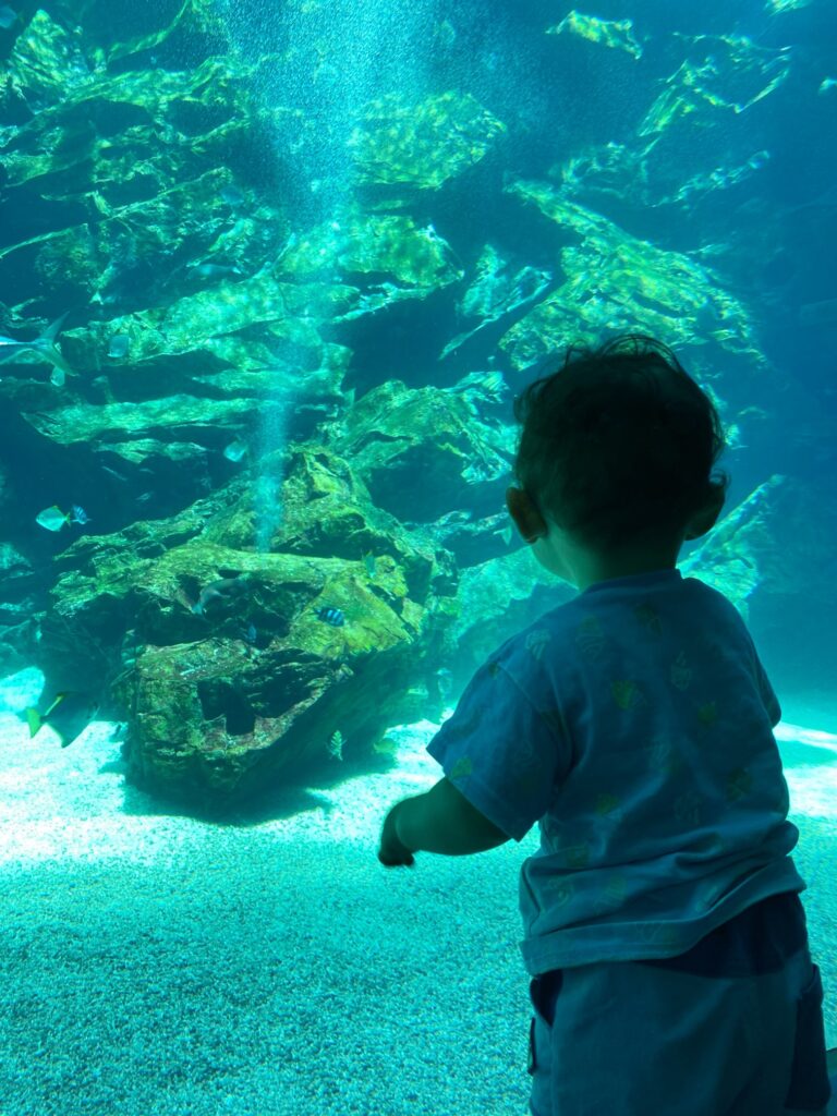 【台湾・桃園】家族みんなで楽しめる水族館 「Xpark」