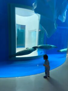【台湾・桃園】家族みんなで楽しめる水族館 「Xpark」