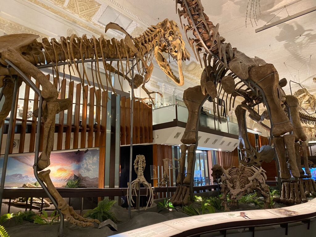 激安の入場料で大人も子供も楽しめる、国立台湾博物館で恐竜さんとの出会い！
