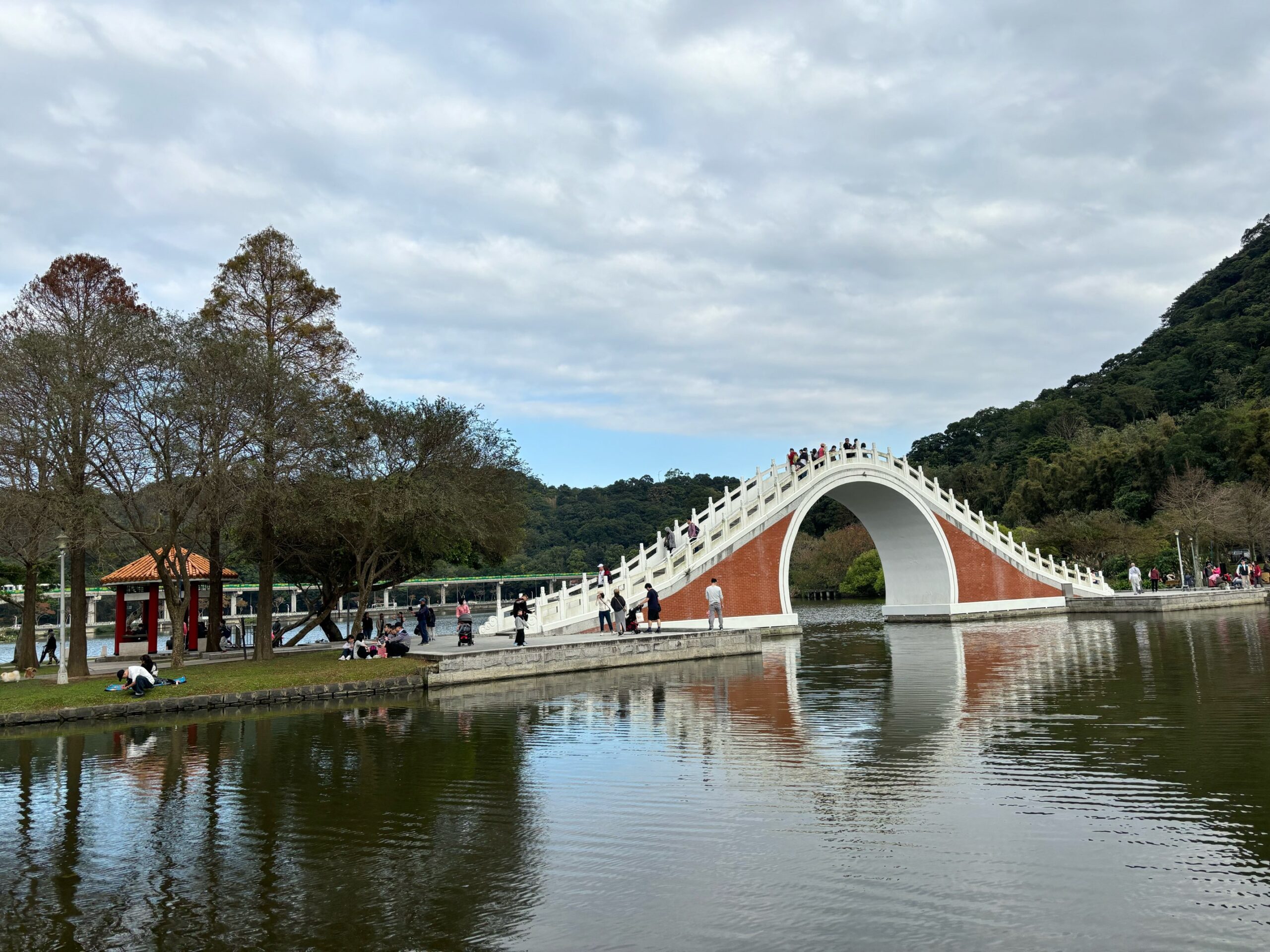 週末は混雑必須？憩いの「大湖公園」•日本の「WIRED CAFE」