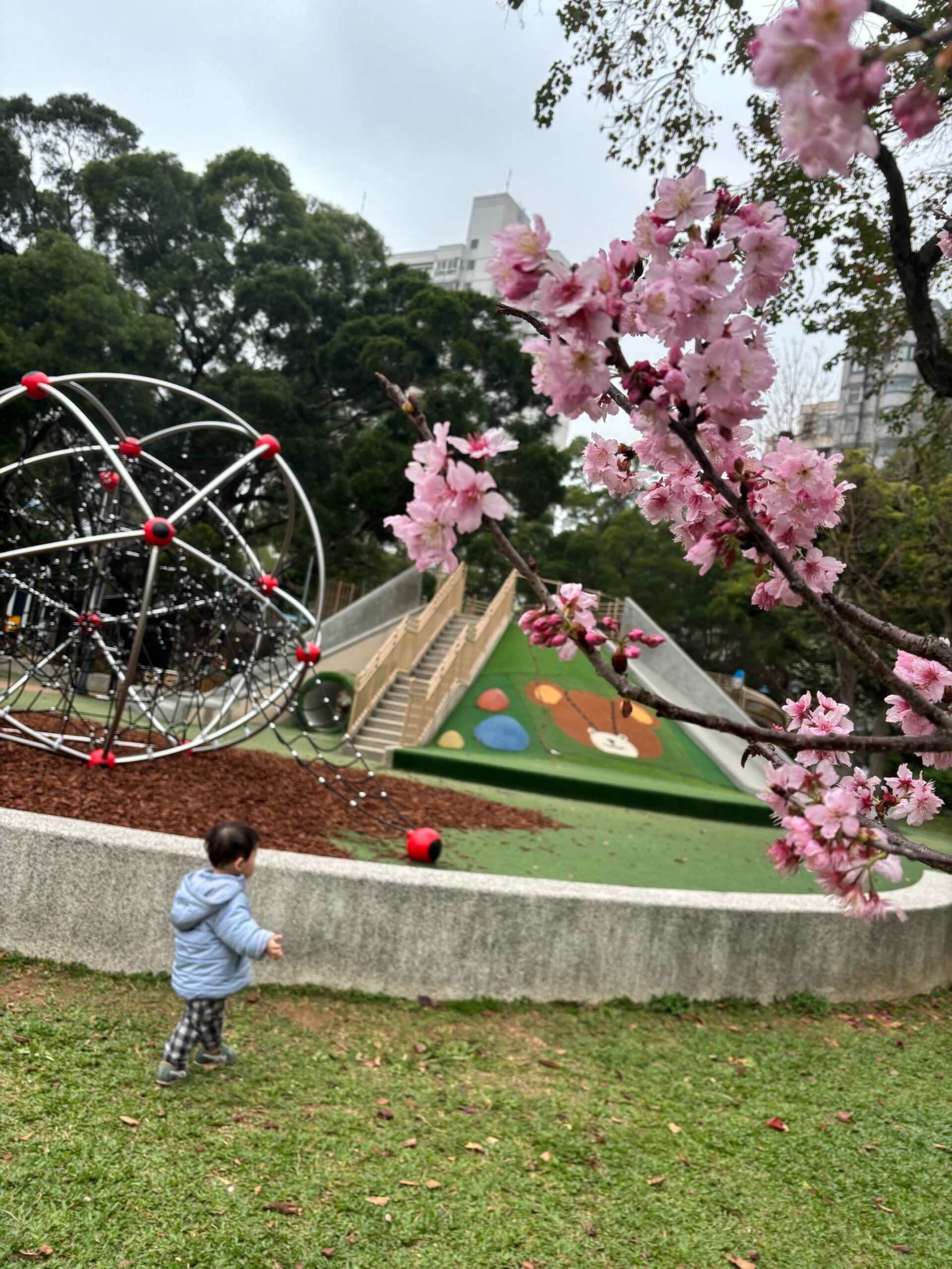 台湾台北で日台ハーフ息子の幼稚園探し