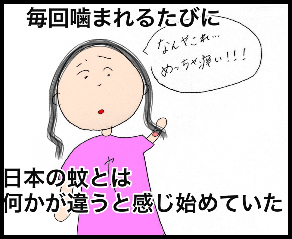 台湾の蚊は１年中要注意！痒すぎる強烈な強さの蚊だ