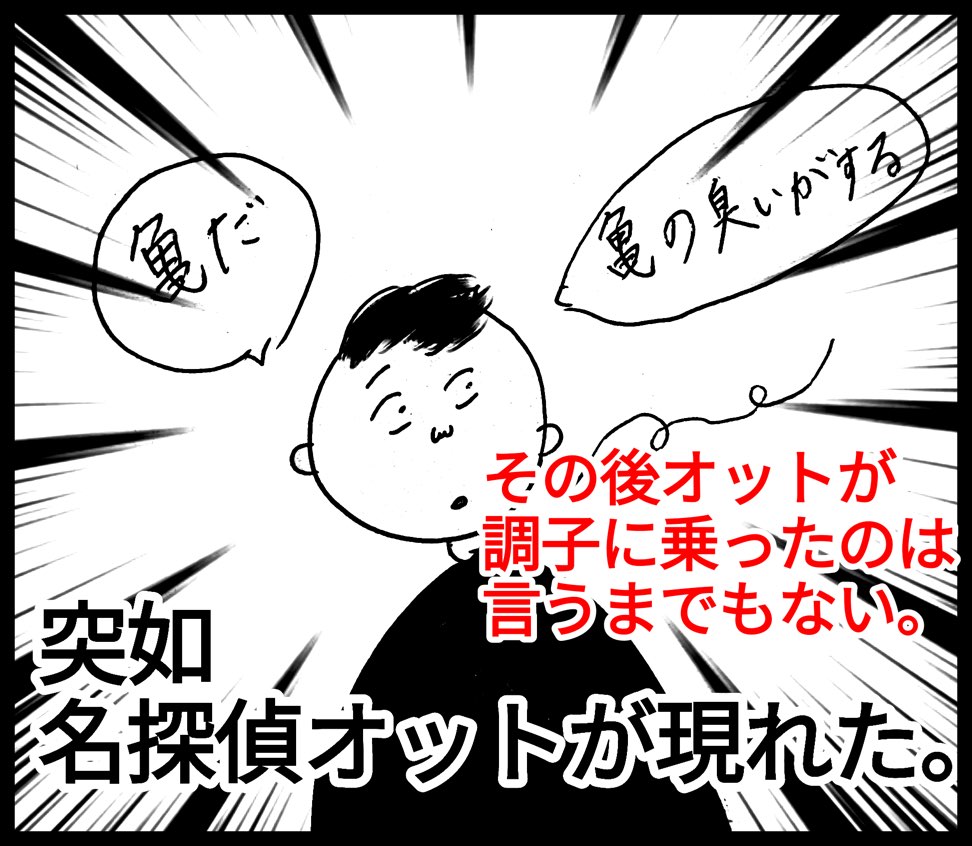 台湾（台北）で台湾人夫と亀がいるカフェに行った日の話のブログ、台湾人は皆亀を飼ってる？